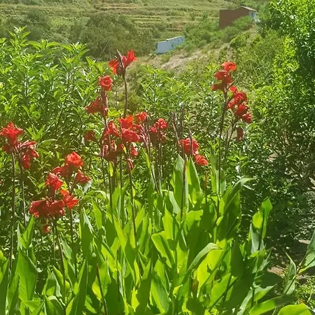 Casa Rural La Palmita, La Gomera *