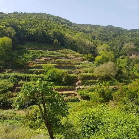 Casa Rural La Palmita, La Gomera Agulo