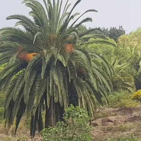 Vakantiehuis Casa Rural La Palmita, La Gomera *